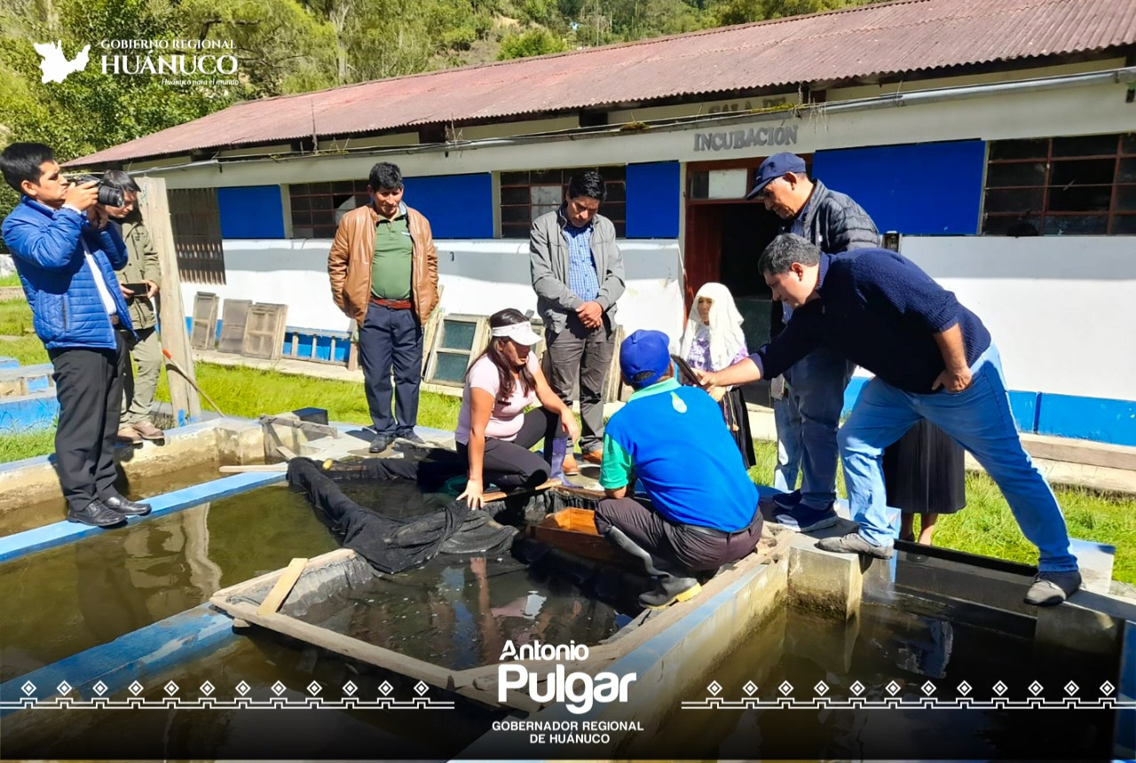 Foto: Gobierno Regional de Huánuco