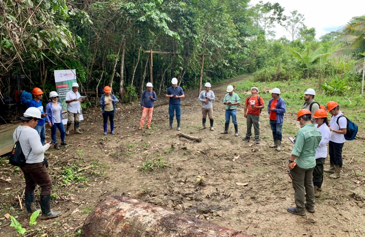 Taller en campo con aplicativo MiBosque. Foto: Osinfor